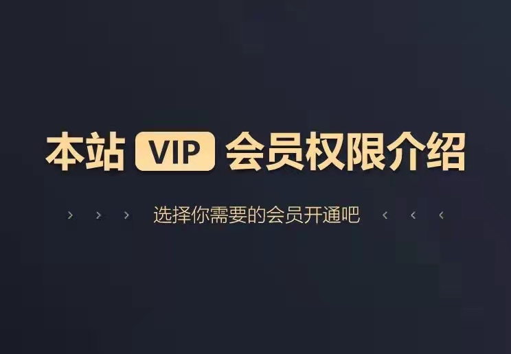 本站VIP会员权限介绍