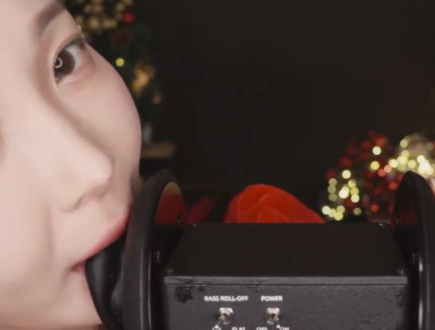 韩国小姐姐的舔耳口腔音